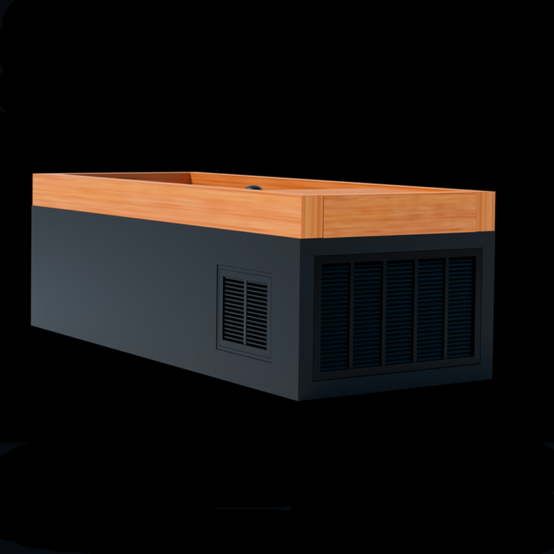 Medical Sauna Frozen 4 Cold Plunge