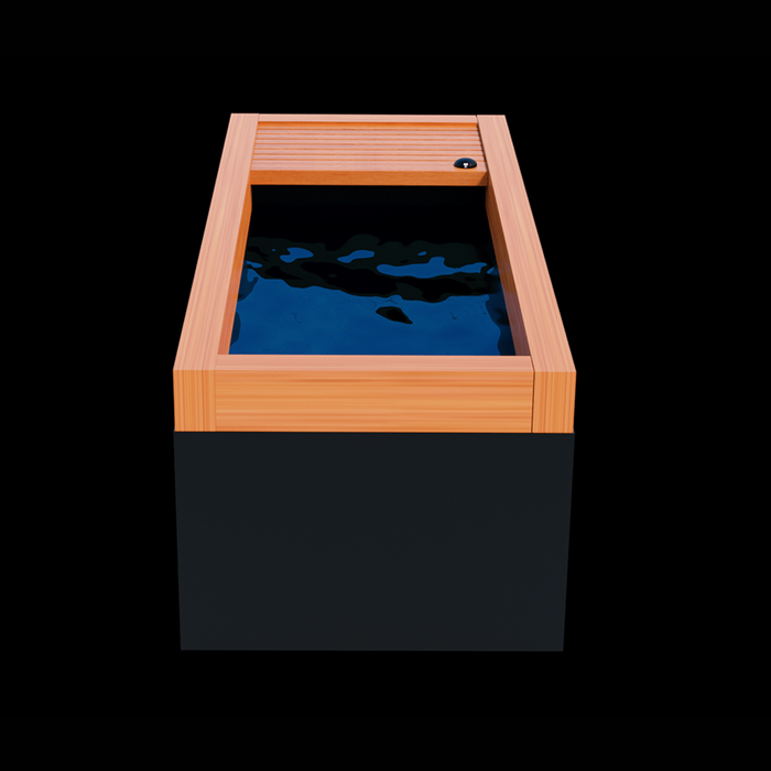 Medical Sauna Frozen 7 Cold Plunge