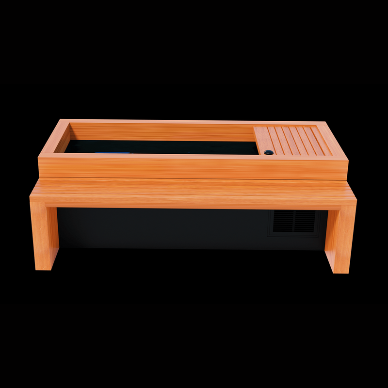Medical Sauna Frozen 2 Cold Plunge with Bar Counter & Heavy Duty Step