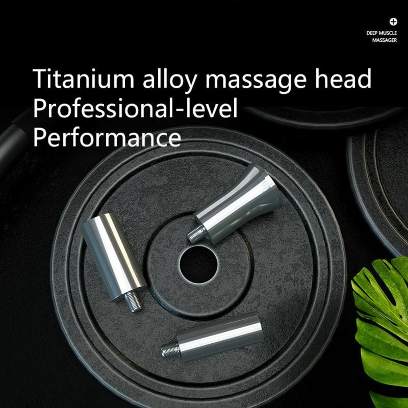 Dr. Fuji Dr. Boss Deep Muscle Stimulator with Professional Ti Alloy Head DMS PRO6